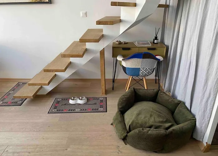 Appartement A L'esprit Scandinave, Face A La Baie *